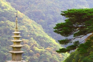 기사로 이동 - “여기 아직 모르나 봐요” 입장료도 버스도 공짜인 봉화 천년 사찰