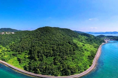 thumbnail - “5시간 걸을 자신 없어요” 통영 편백숲 품은 14.7km, 차로 가보니 ‘반전’