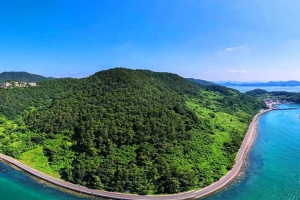 기사로 이동 - “5시간 걸을 자신 없어요” 통영 편백숲 품은 14.7km, 차로 가보니 ‘반전’