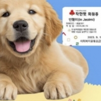 thumbnail - “우리 강아지가 1억 기부” 부산 아너 소사이어티 회원 명단에 오른 이름 넷