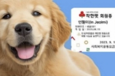 thumbnail - “우리 강아지가 1억 기부” 부산 아너 소사이어티 회원 명단에 오른 이름 넷