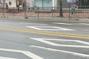 기사로 이동 - “어? 횡단보도네” 도로 위 ◆표시, 그냥 지나치면 벌어지는 아찔한 상황