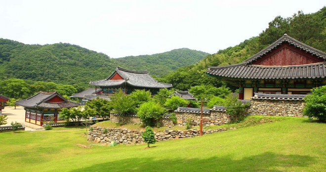 thumbnail - “여긴 왜 돈을 안 받지?” 500그루 비자나무 숲 품은 1200년 사찰의 정체