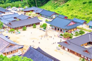 기사로 이동 - “지금 걷기 딱 좋다”던 천년 사찰, 주차비 6천원 내도 후회 없던 이유