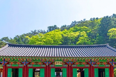 thumbnail - 12km 계곡 따라 걷다보니… 홍천 수타사, ‘두 얼굴’에 깜짝 놀랐다