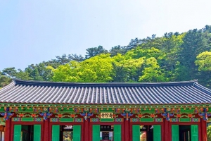기사로 이동 - 12km 계곡 따라 걷다보니… 홍천 수타사, ‘두 얼굴’에 깜짝 놀랐다
