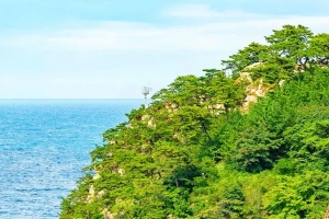 기사로 이동 - “공짜라길래 갔는데…” 울산 대표 명소, 주말엔 ‘이것’부터 확인하세요
