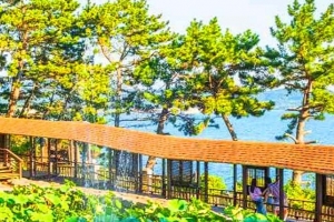 기사로 이동 - “섬 하나를 통째로 정원으로 만들었다”…2km 지붕길 품은 보령의 독특한 명소