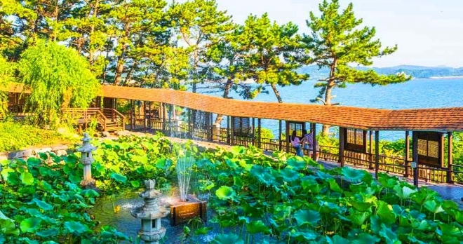 thumbnail - “섬 하나를 통째로 정원으로 만들었다”…2km 지붕길 품은 보령의 독특한 명소