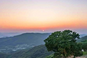 기사로 이동 - “차에서 내려 5분이면 1500년 전”…거대한 느티나무 품은 숨은 명소