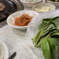 thumbnail - “이걸 왜 버려요?” 남은 깻잎, 커피컵에 넣자 벌어진 놀라운 변화