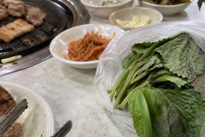 기사로 이동 - “이걸 왜 버려요?” 남은 깻잎, 커피컵에 넣자 벌어진 놀라운 변화