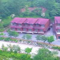 thumbnail - “3인 1박 3만 9천원”…숲 속에서 하룻밤, 가성비 터진 이곳, 2만평 식물원까지