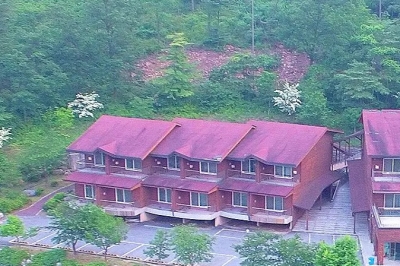 thumbnail - “3인 1박 3만 9천원”…숲 속에서 하룻밤, 가성비 터진 이곳, 2만평 식물원까지