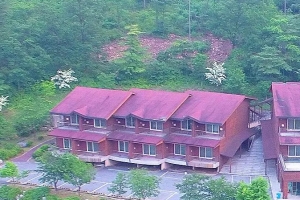 기사로 이동 - “3인 1박 3만 9천원”…숲 속에서 하룻밤, 가성비 터진 이곳, 2만평 식물원까지