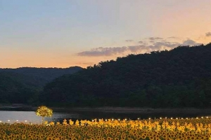 기사로 이동 - “여기도 관광지인가?”…경주, 해바라기 절경에 하동못 뷰 한옥 카페