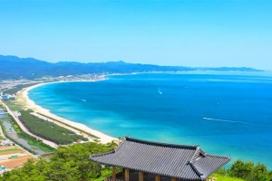 기사로 이동 - 2분이면 정상 도착하는 영덕 모노레일, ‘이 시간’엔 절대 타면 안됩니다