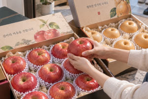 기사로 이동 - “한 상자 받았는데 다 썩겠네”…추석 사과·배 한 달 살리는 보관법
