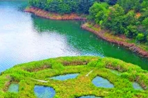 기사로 이동 - “저수지가 이렇게 예뻐도 되나?”…24시간 무료로 열리는 ‘물안개 명소’