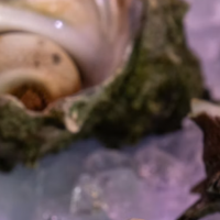 thumbnail - “싱싱해서 괜찮은 줄 알았는데” 날로 먹으면 간 수치 폭발하는 해산물 3가지