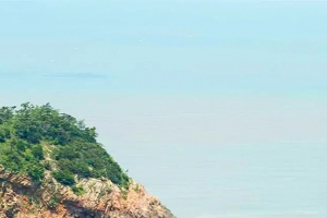 기사로 이동 - “바다가 하루 두 번만 길을 열어준다”…4km 바닷길 숨겨둔 작은 섬