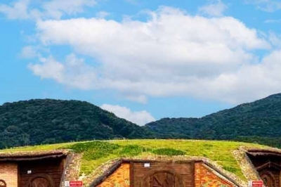 thumbnail - “강 한가운데 1만평 섬이 전부 공짜”… 700m 황톳길에 ‘호빗 놀이터’까지