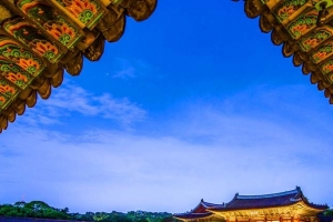 기사로 이동 - “5만원 티켓 못 구했다고요?”…예매 실패해도 무료로 즐기는 ‘조선 왕실의 밤’