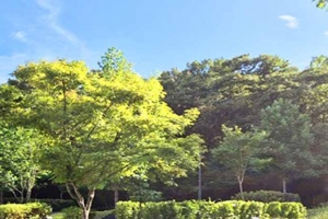 기사로 이동 - “지하철 타고 캠핑 간다고?”…지하철역 5분, 1박 2만원대 ‘서울 숲속 야영장’