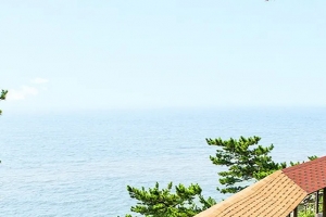 기사로 이동 - “여긴 배 안 타도 되네”… 차로 가는 섬, 2km ‘지붕 복도’의 정체