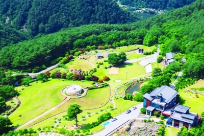 thumbnail - “아내 아니었으면 못 만들었죠”… 16년간 10만 평 가꾼 회장님의 ‘비밀의 숲’