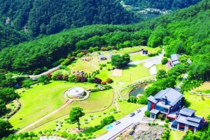 기사로 이동 - “아내 아니었으면 못 만들었죠”… 16년간 10만 평 가꾼 회장님의 ‘비밀의 숲’