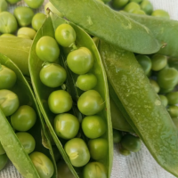 thumbnail - “속이 이렇게 편할 줄이야” 60대 몸속 염증, 의사가 콕 집은 ‘말린 콩’