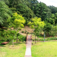 thumbnail - “입장료 0원이라 그냥 갔는데”… 대전 1.3km 숲길, 현장서 발길 돌리는 이유