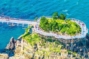 기사로 이동 - 태풍에 박살났던 다리, 49억 쏟아붓자 300만명이 몰려왔다