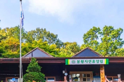 thumbnail - “6인실인데 방이 없네?” 3년 기다린 충주 휴양림, 예약 전 꼭 봐야 할 2가지