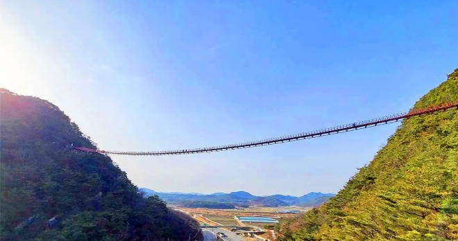 thumbnail - “공짜라 얕봤다간 큰코다쳐”… 90m 허공에 뜬 270m 다리, 함정이 있었다
