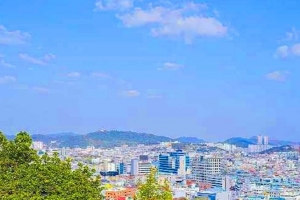 기사로 이동 - 왕복 2만9천원 케이블카 안 타도 ‘이 풍경’… 목포역 2시간 코스