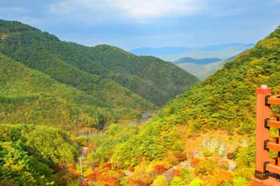 thumbnail - “차로 5분, 걸어서 4시간”… 13.8km 단풍길 품은 고갯길의 반전