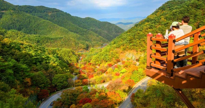thumbnail - “차로 5분, 걸어서 4시간”… 13.8km 단풍길 품은 고갯길의 반전