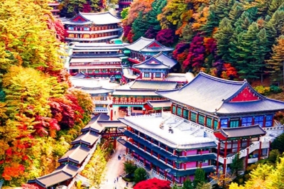 thumbnail - “걸어갈 엄두도 안 났는데”… 5만명 사찰, 가파른 산비탈 오르는 ‘비밀’ 있었다