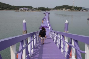 기사로 이동 - “여기 한국 맞아?”…보랏빛 섬 하나 보러 ‘이곳’까지 가는 이유
