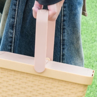 thumbnail - “마트선 5만원인데 여긴 2천원”… 다이소 ‘라탄 바구니’에 주부들 몰리는 이유