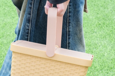 thumbnail - “마트선 5만원인데 여긴 2천원”… 다이소 ‘라탄 바구니’에 주부들 몰리는 이유
