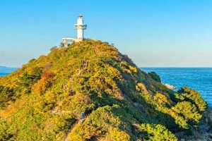 기사로 이동 - “등대인 줄 알았는데”... 7층 전망대 꼭대기 올라가 보니 ‘이것’ 그대로 있었다