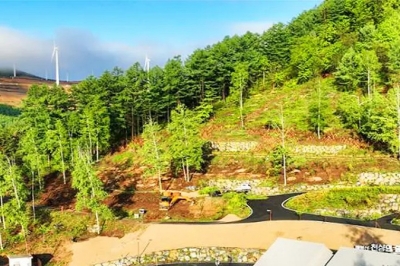 thumbnail - “하룻밤 5만원인데 예약률 94%” 해발 1000m 숲, 반년 만에 1만명 몰렸다