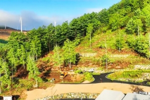 기사로 이동 - “하룻밤 5만원인데 예약률 94%” 해발 1000m 숲, 반년 만에 1만명 몰렸다