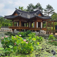 thumbnail - “부모님이 이렇게 만족하실 줄이야”… 세종시 1박 2일 다섯 끼 식도락 코스