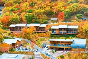 기사로 이동 - “2인 1박 3만6000원이라길래 봤더니…” 숙박만은 안 되는 국립 숲체원