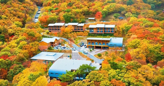 thumbnail - “2인 1박 3만6000원이라길래 봤더니…” 숙박만은 안 되는 국립 숲체원
