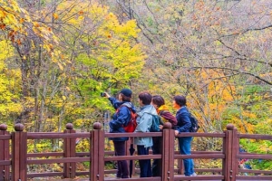 기사로 이동 - “하루 710명만 들어갑니다” 오대산 단풍, 10월에만 열리는 비밀 코스